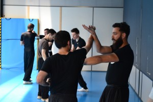 hunggarnancy-artsmartiaux-wushu-kungfu-ericbourbonnais-18juin2016-11   